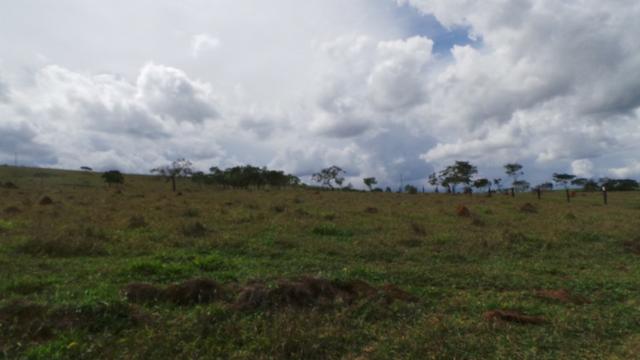 Sítio 22 hectares em Planalmira - Foto 3