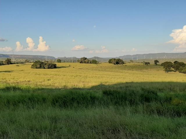 Fazenda Guiratinga MT 6.080 Ha - Foto 10