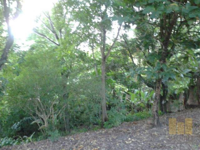 Terreno residencial à venda, barro duro, maceió. - Foto 3