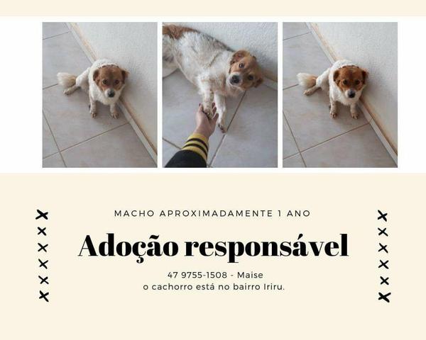 Urgente