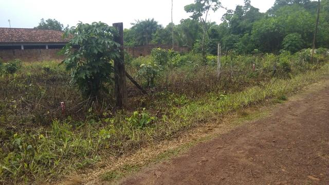 Terreno - Foto 5