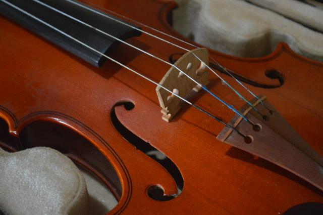 Violino Giuseppi 4/4 - Foto 3