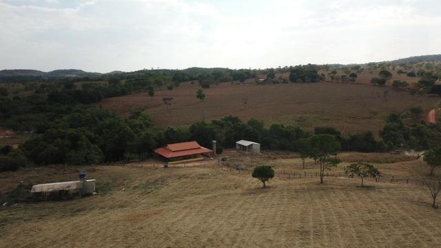 Chácara em Alexânia-GO. (Aceita Permuta) - Foto 4