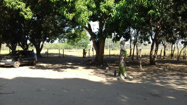 Vendo uma terra pertinho do arraia 13 alqueiro - Foto 6