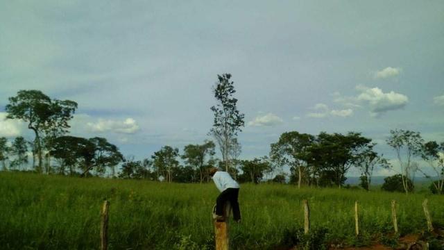 Fazenda Ribeirão - Foto 9