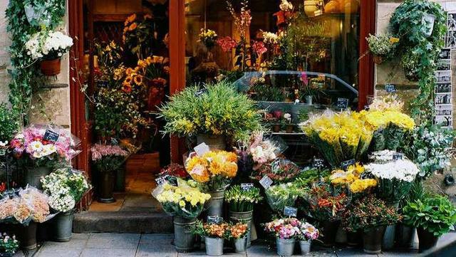 AF7 Negocia Floricultura com 14 anos de atuação Novo Hamburgo / RS