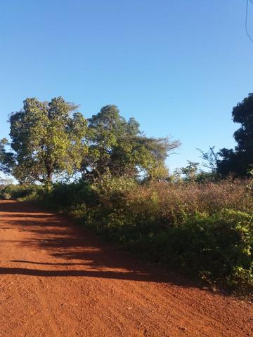 Terreno