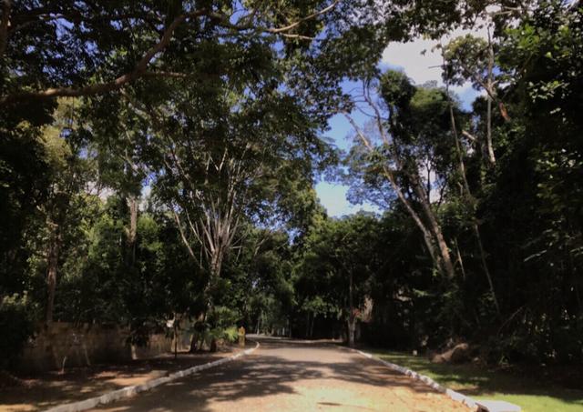 Lote/chácara murado, amplo, plano e documentado (condomínio fechado dentro de Maceió) - Foto 4