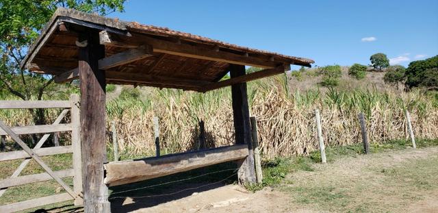 Fazenda 104 hectares , próximo de Governador Valadares MG - Foto 19