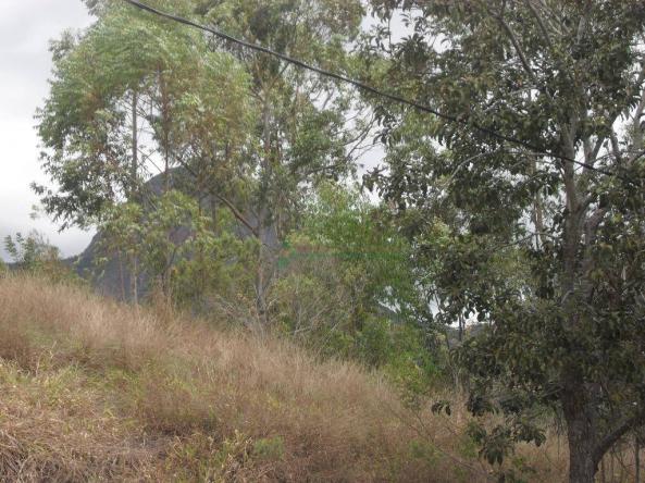 Terreno à venda, 2241 m² por R$ 80.000,00 - Vieira - Teresópolis/RJ - Foto 5