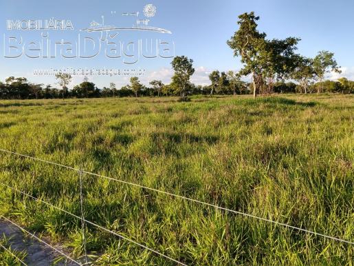 Fazenda Pecuaria 322 Hectares Plana - Foto 2