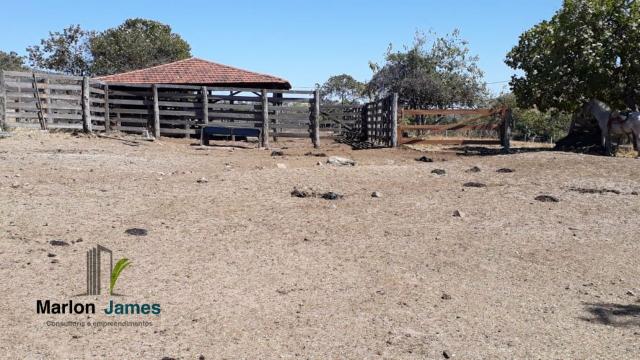 Fazenda em Cocalzinho-G! - Foto 5