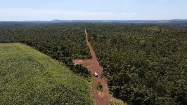 Fazenda em Aparecida do Rio Negro. Lavoura. - Foto 5