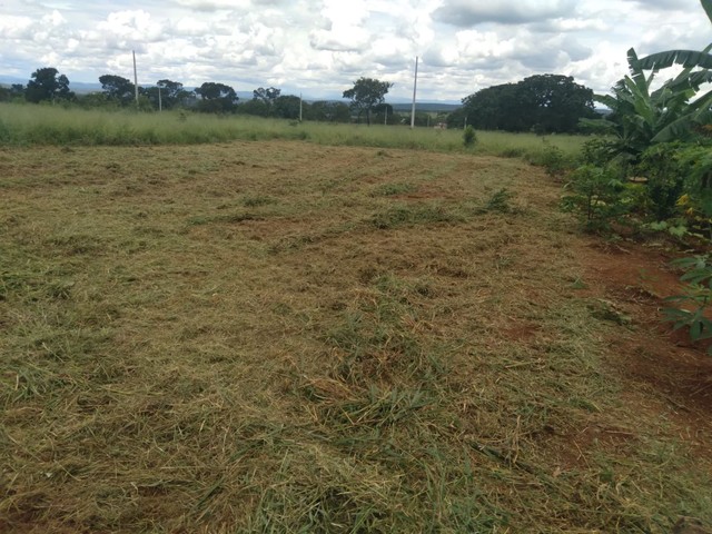 Excelente lote no Bela Vista 1 - Foto 4