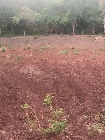 Fazenda 370alq, Tocantins. + Jazida de Ferro e Manganês.  - Foto 5