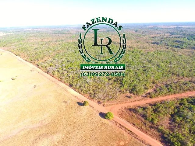 Fazenda 103 alqueires  Vale Araguaia - Foto 2