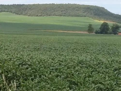 Fazenda de 405 alqueires em Caiapônia-Go