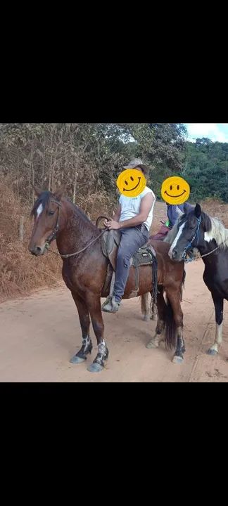 Cavalo marcha Batida para venda - Foto 4