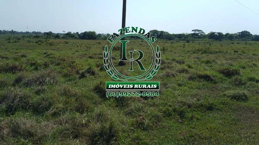 Fazenda 205 Alqueires |Beira Rio Araguaia - Foto 4