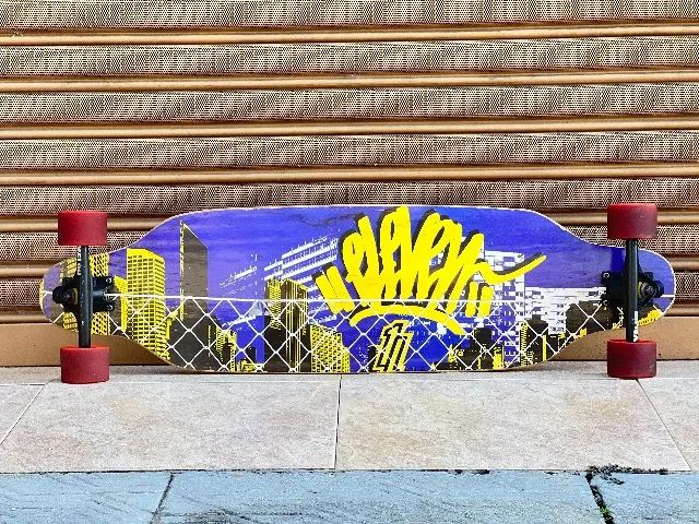 Long Board Skate Board