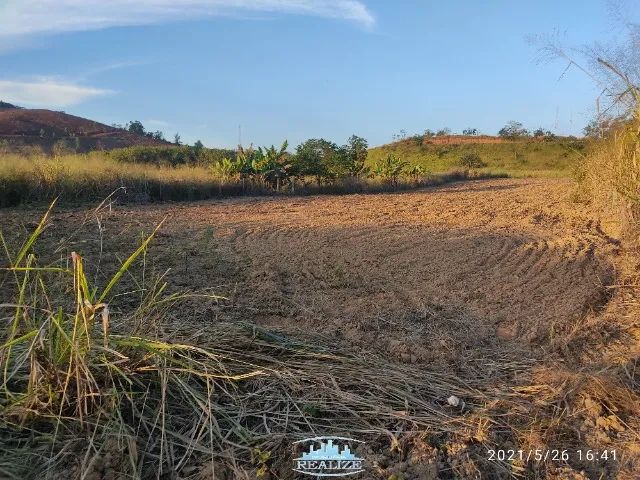 Cod. 4161 - Vende chácara Revés do Belém, 5000m², plana - Foto 4