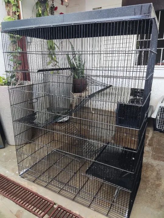 Gaiola para roedores