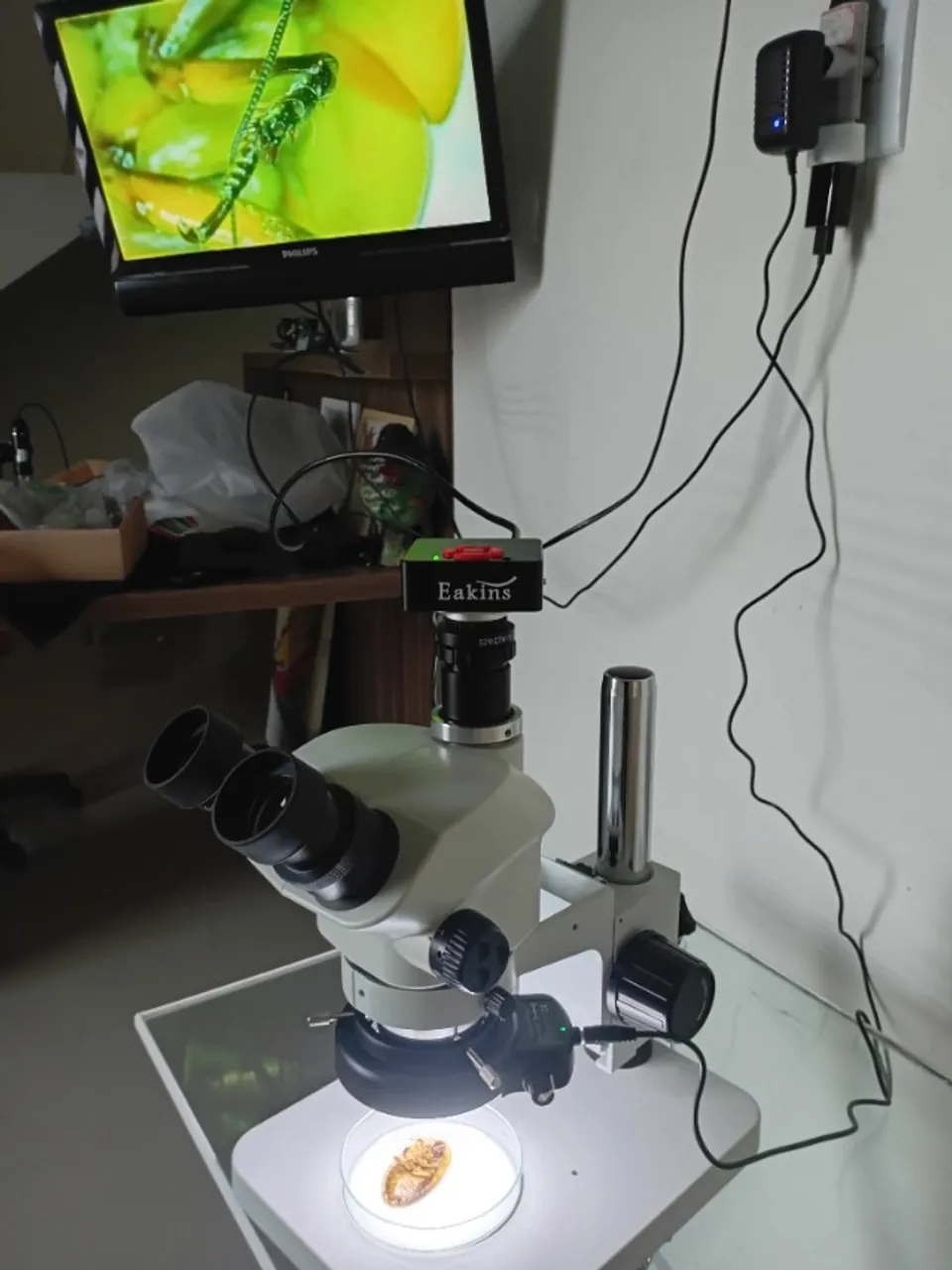 ESTEREOMICROSCOPIO TRINOCULAR AK-70 COM CAMERA