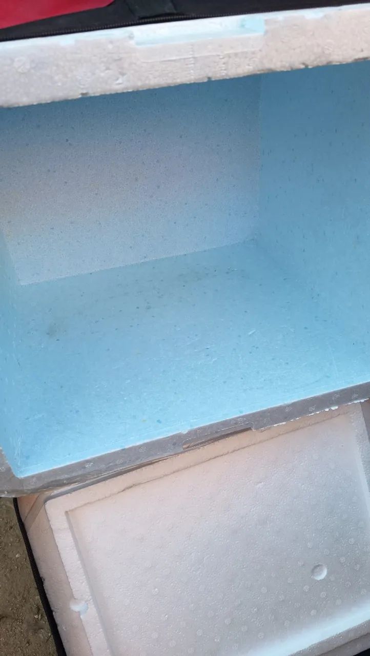 BAG ZERADA NUNCA USADA 