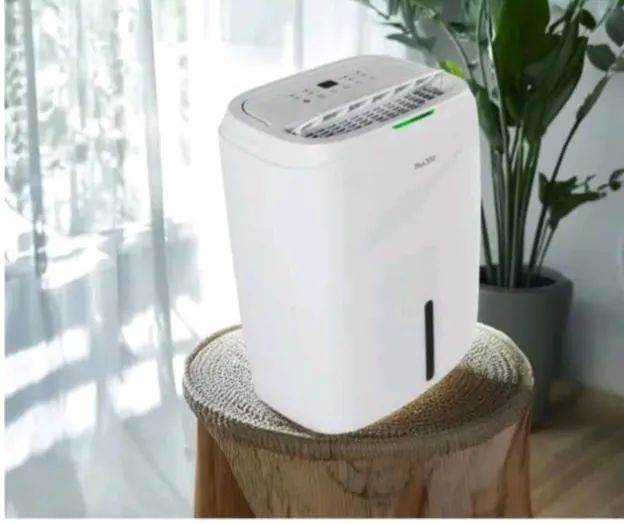 DESUMIDIFICADOR DESIDRAT PLUS 300