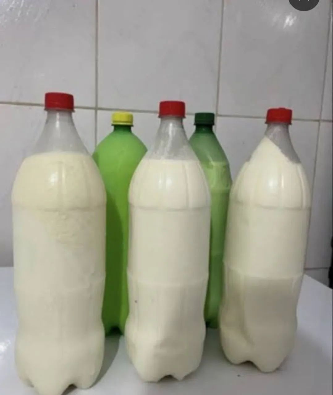 Leite  de Vaca fresco 