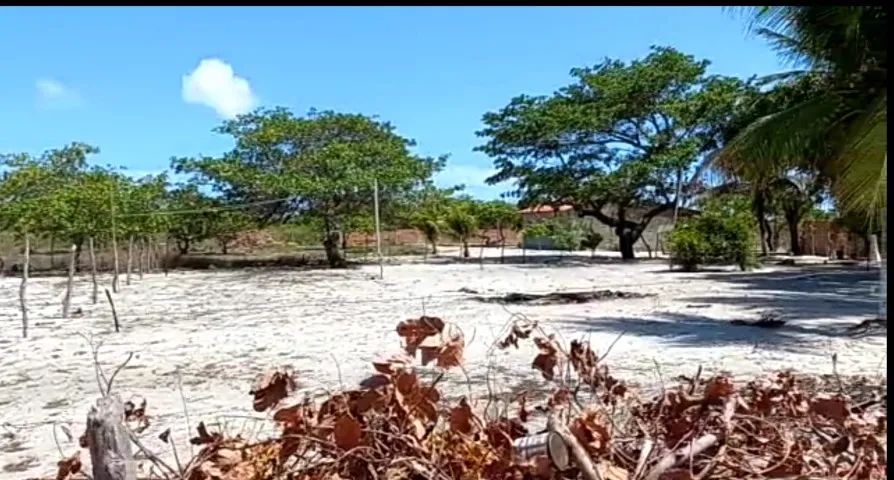 TERRENO NO PARACURU - 1600M2 - A 5 MINUTOS DA PRAIA - Foto 3