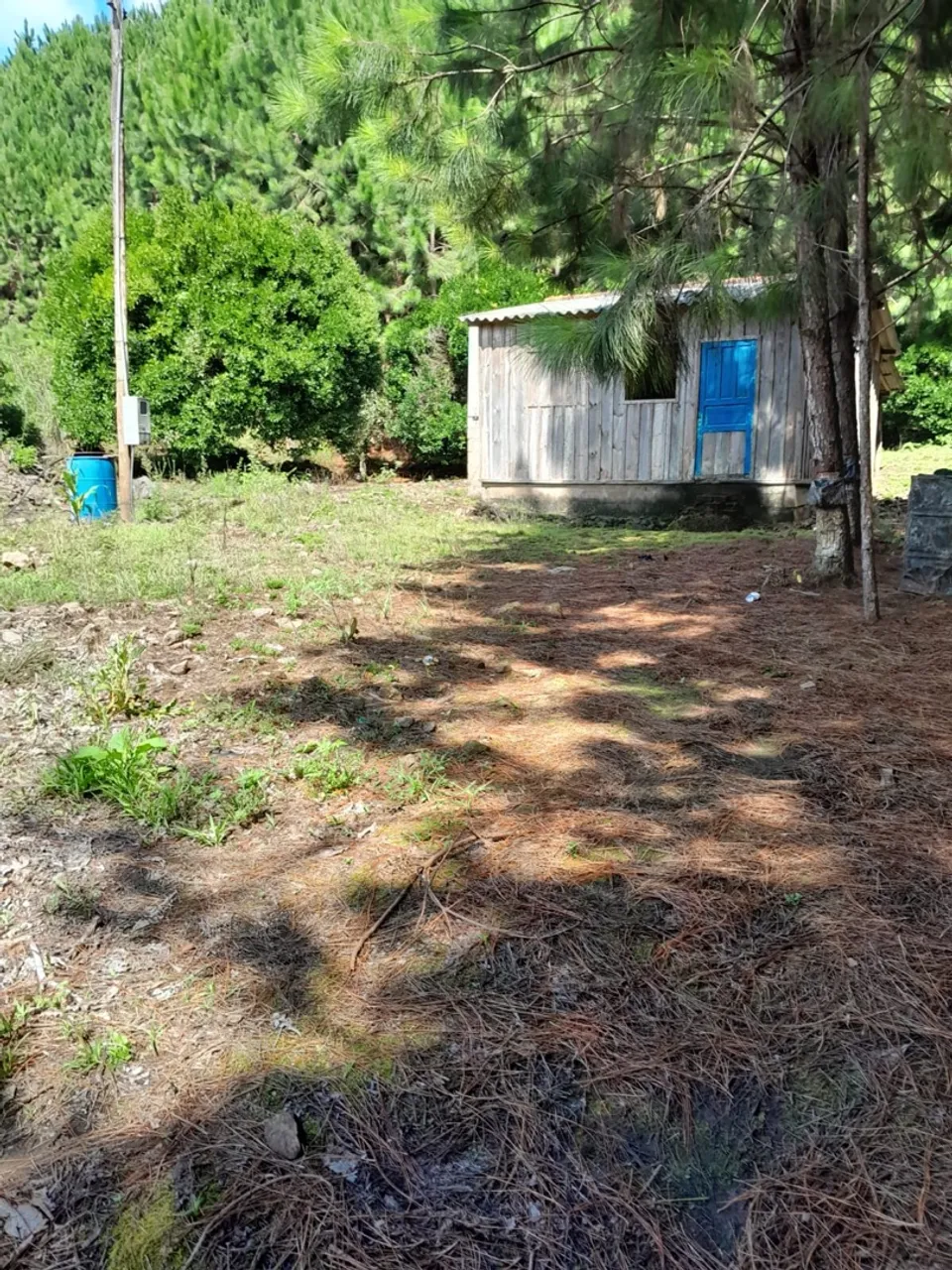 Sitio de 1 alqueire e Meio