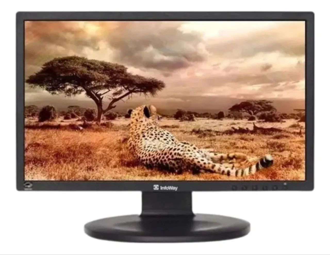 Monitor 60hz 19 polegadas 