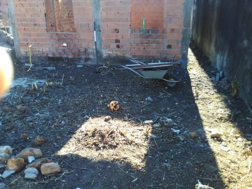 Terreno em Itaparica oportunidade  - Foto 2