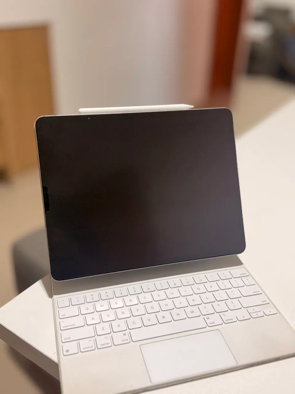 IPad Pro 12,9 pol (2ª Geração) - 128GB + Apple Pencil + Magic