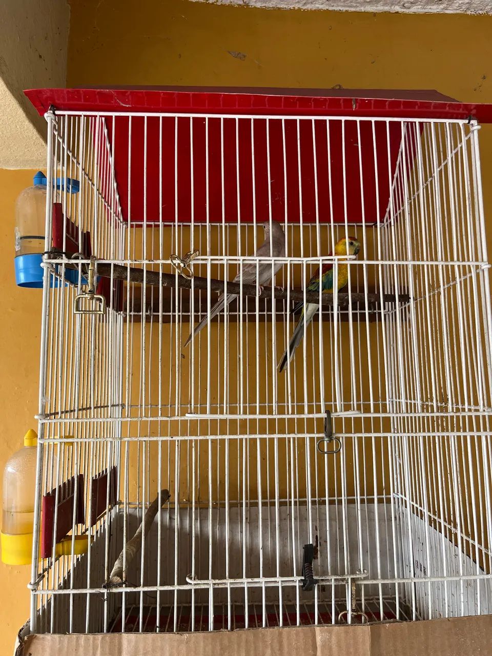 Viveiro completo64293084300034122