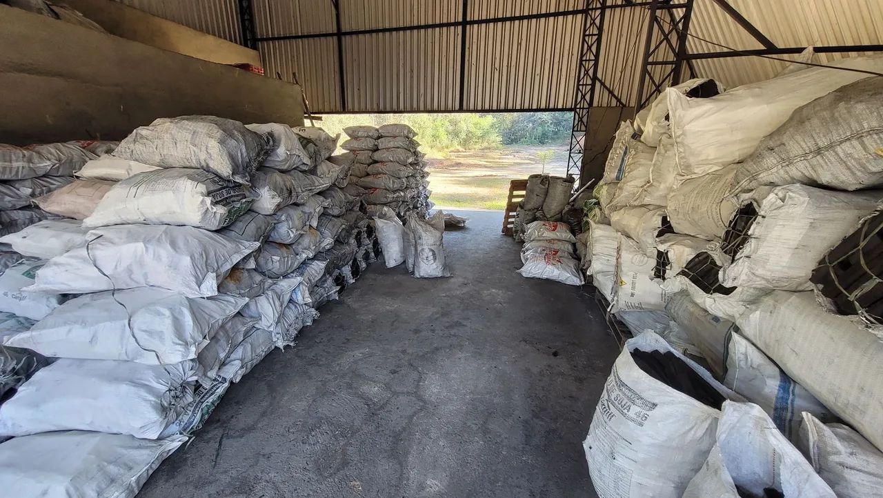 Carvão 100% eucalipto 64167770814082121