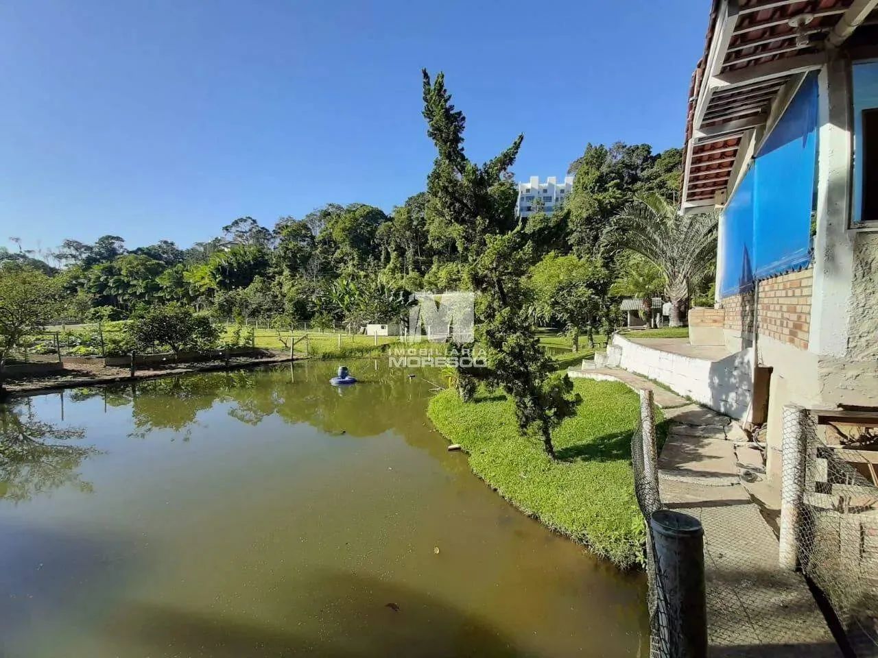 Sítio encantador próximo ao centro de Brusque - Foto 5