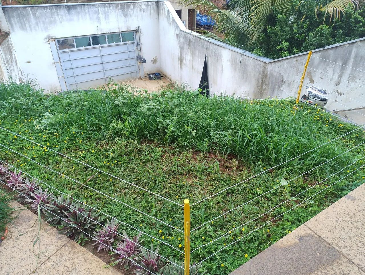 Serviço de jardinagem 