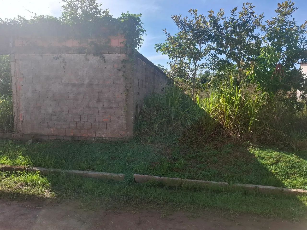 Vendo terreno. Aceito parcelamento. - Foto 3