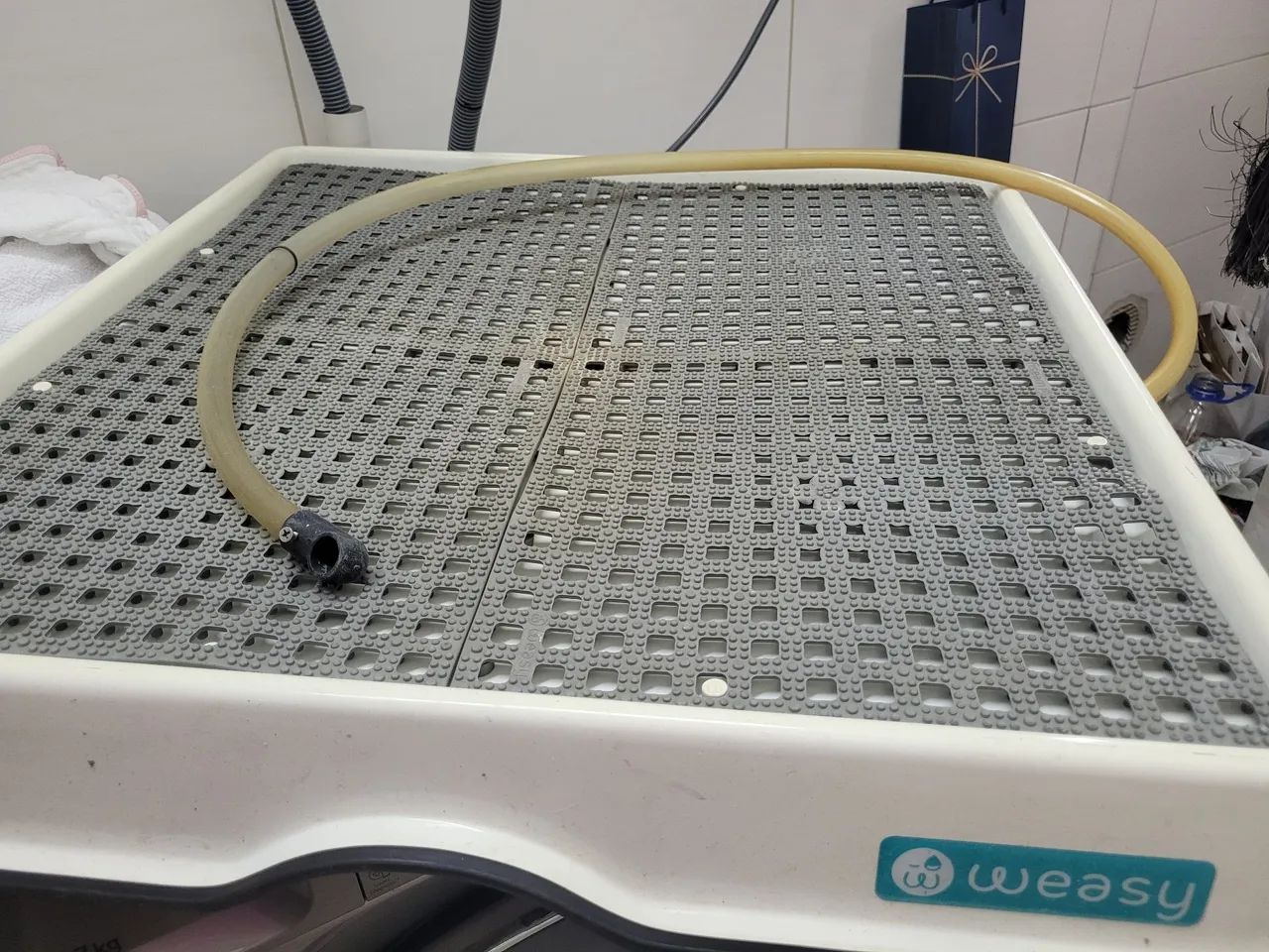 Weasy Cão - Médio - Foto 2