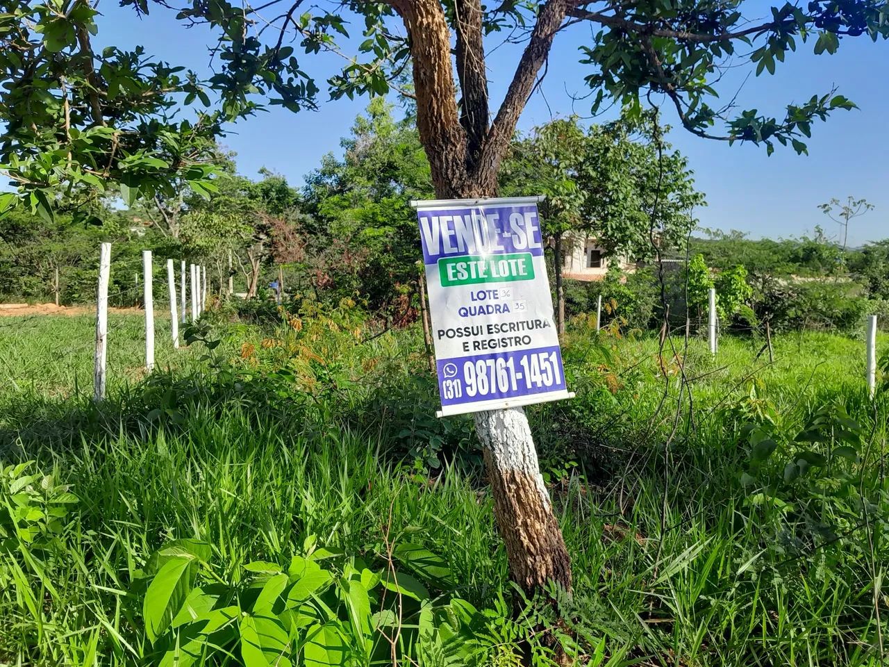 Lotes com escritura e registro  - Foto 2