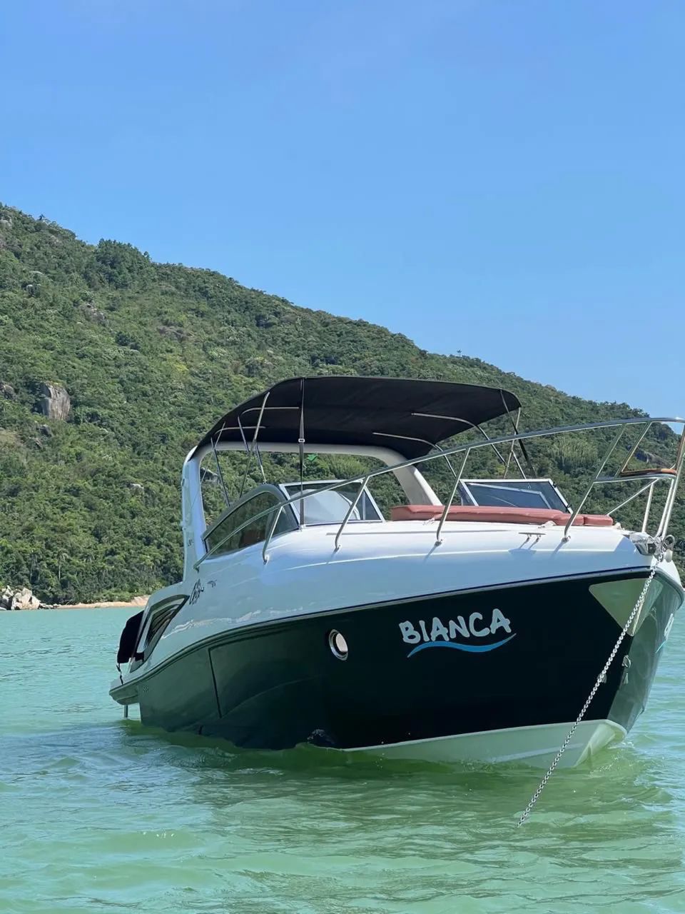 Lancha Ônix 29 pés  - Foto 8