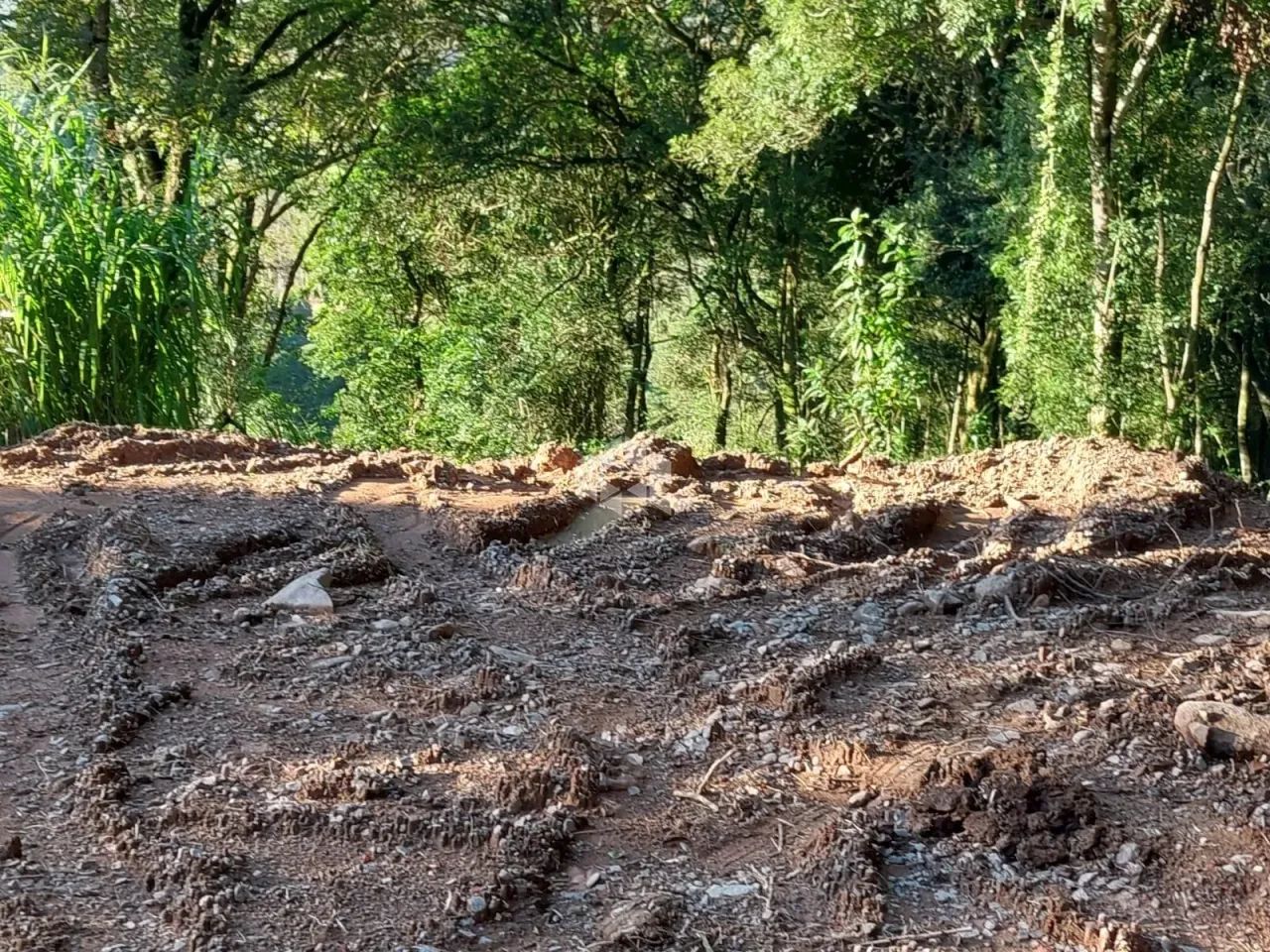 Área de terra de 02 hás agricultável - Foto 10