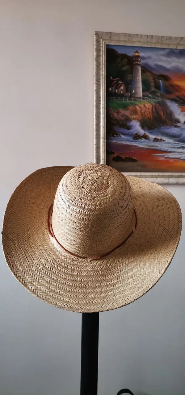 Chapéu Pantaneiro Palha - Foto 4