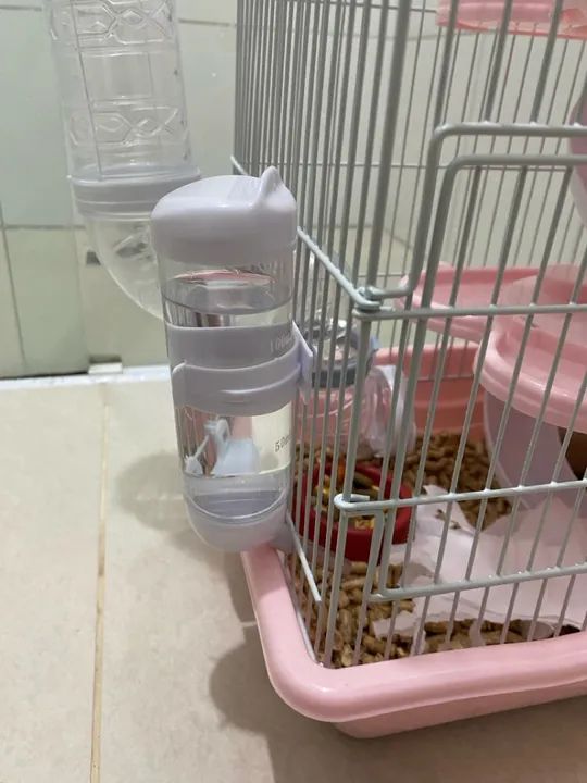 *DOANDO*  HAMSTER ANAO RUSSO+GAIOLA+Palha, comida e areia - Foto 2