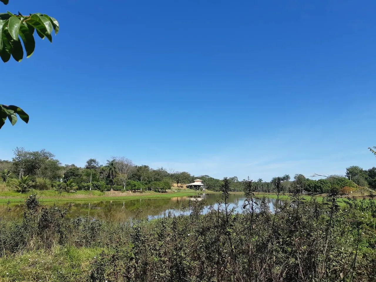 Terrenos 5.000m2 Prontos p Construir Financio c 36 Primeiras Parcelas Fixas - Foto 2