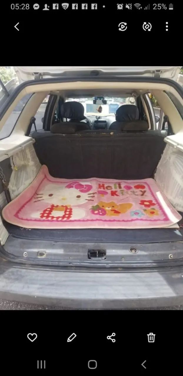 Transporte de caes e gatos - Foto 5