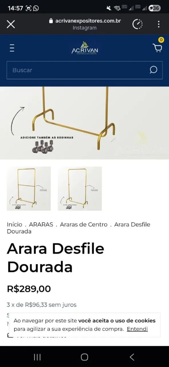 Arara desfile dourada - Foto 3