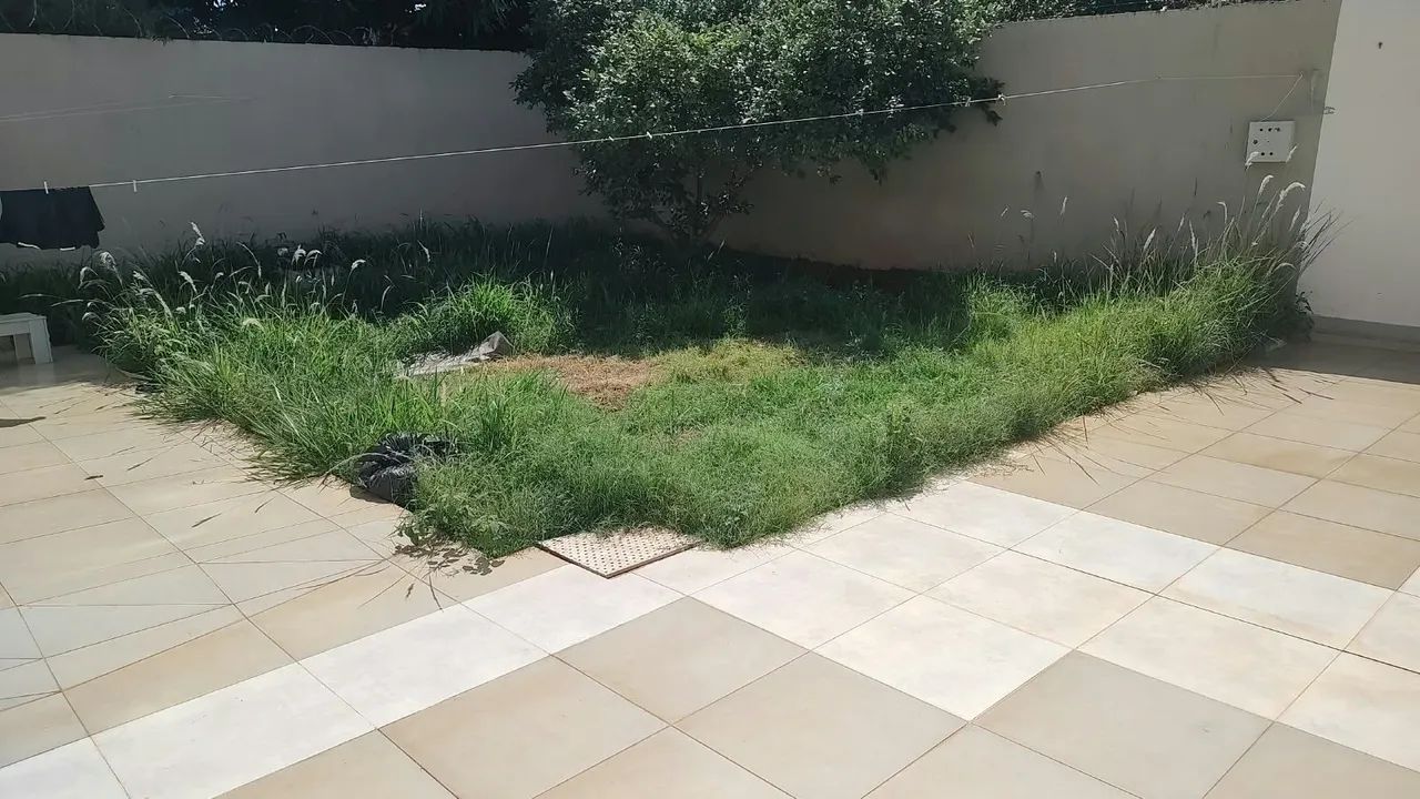 Frete e jardinagem  - Foto 3